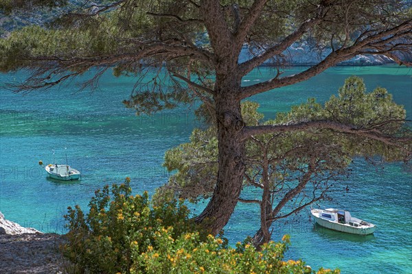 Marseille, Sormiou cove, Bouches-du-Rhône