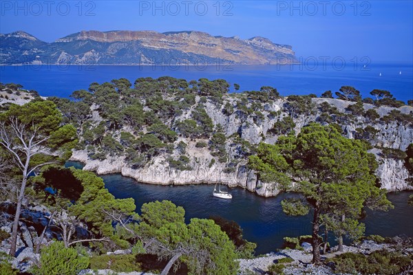 Cassis, la calanque de Port-Pin, Bouches-du-Rhône