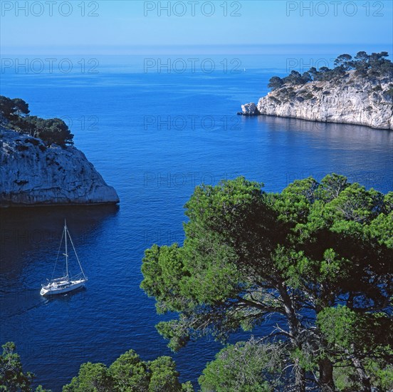 Cassis, Port-Pin cove, Bouches-du-Rhône