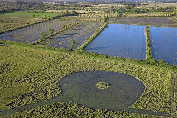 Camargue landscape, Bouches-du-Rhône