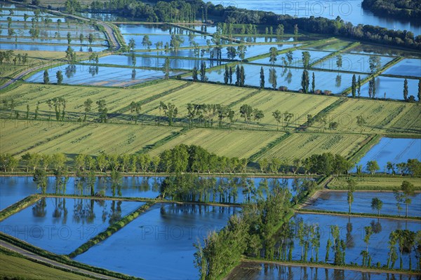 Rhone delta, Bouches-du-Rhône