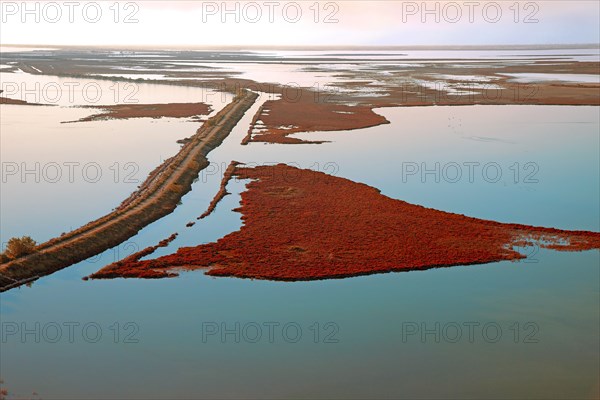 Paysage de Camargue, Bouches-du-Rhône