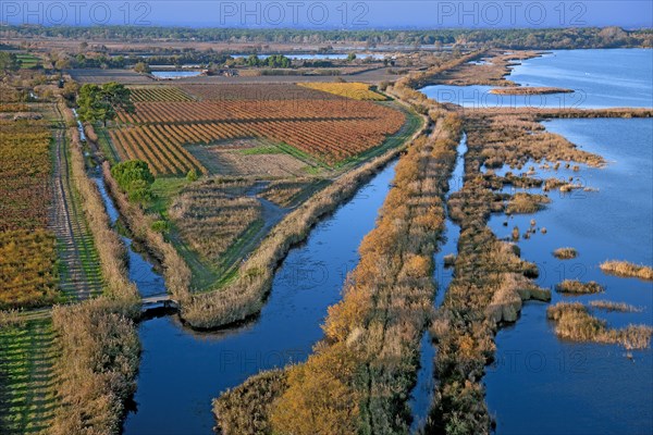 Paysage de Camargue, Bouches-du-Rhône