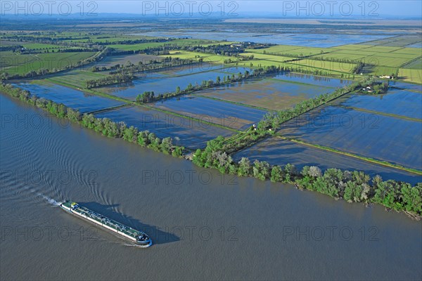 Salt marsh landscape, Bouches-du-Rhône