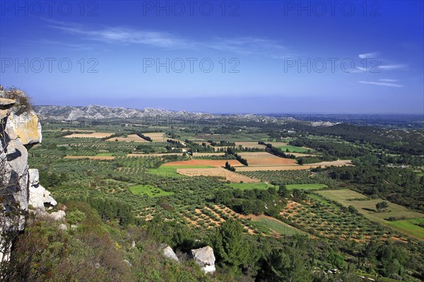 Landscape of the Baux plain, Bouches-du-Rhône
