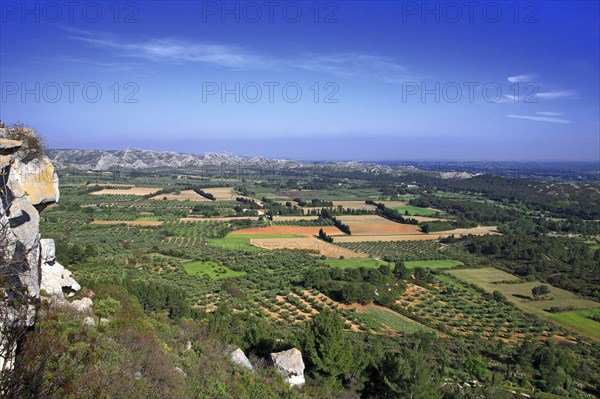 Paysage de la plaine des Baux, Bouches-du-Rhône