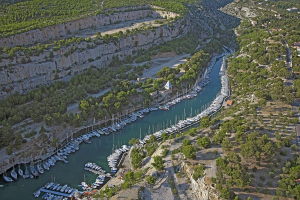 Cassis, Port-Pin cove, Bouches-du-Rhône