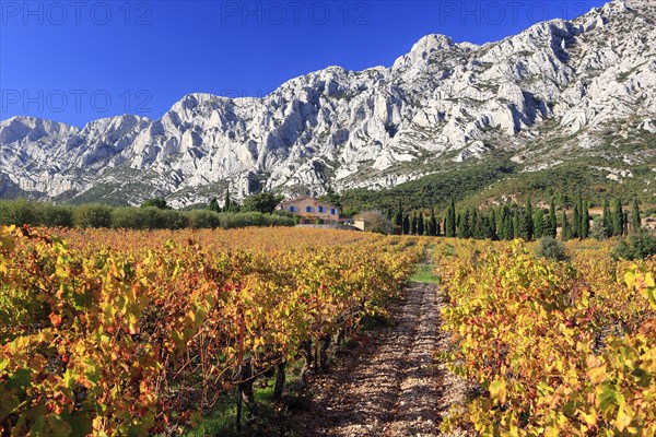 Puyloubier, Bouches-du-Rhône