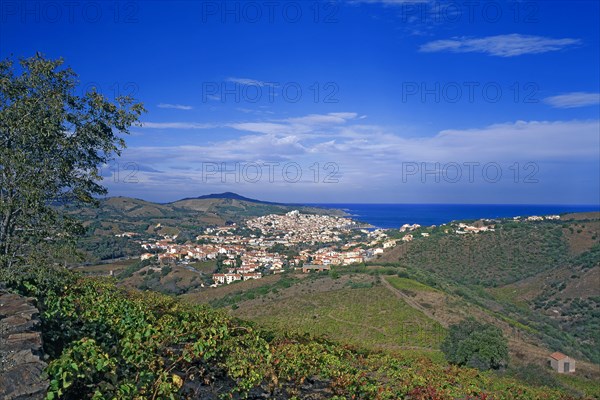 Banyuls-sur-Mer, Pyrénées-Orientales