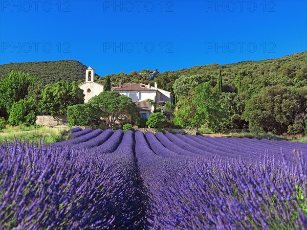 Montbrison sur Lez, Drôme