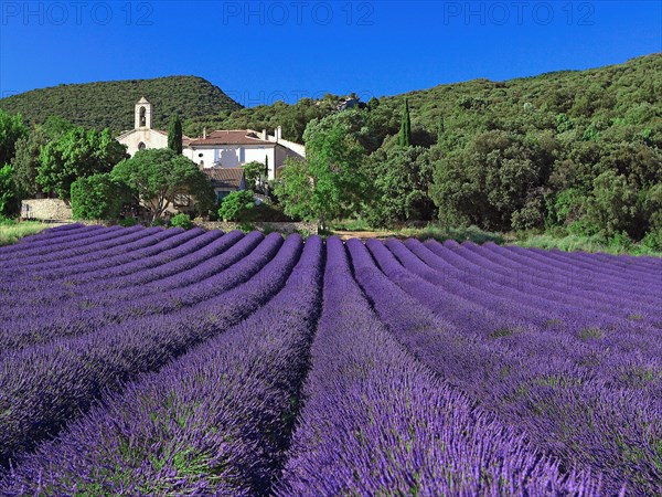 Montbrison sur Lez, Drôme