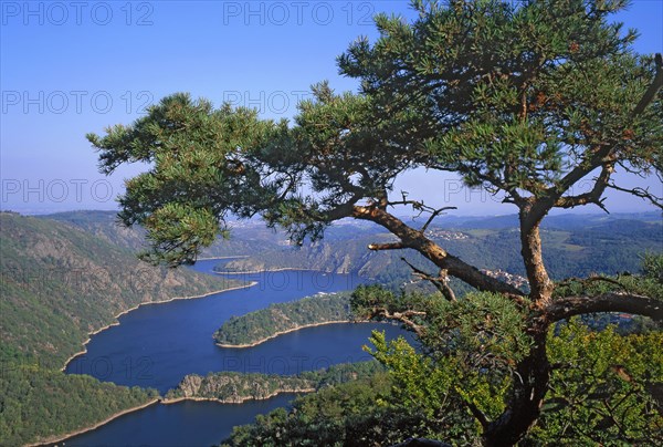 Landscape of the Loire Gorges, Loire