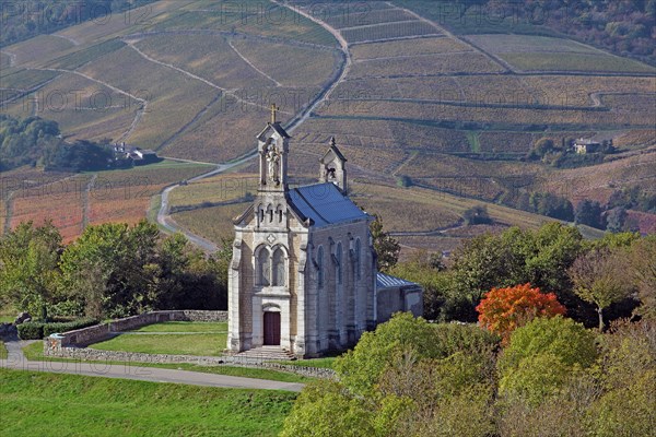 Saint-Lager, Rhône