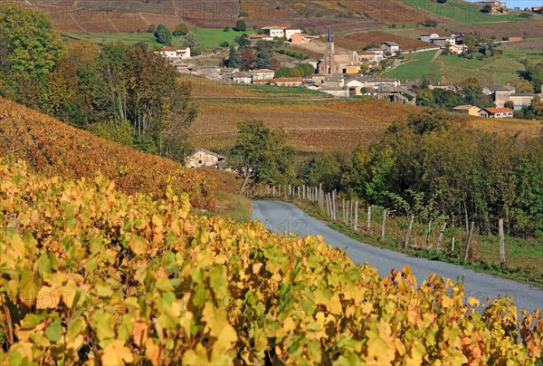 Juliénas, Rhône