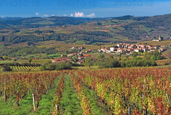 Oingt, Rhône