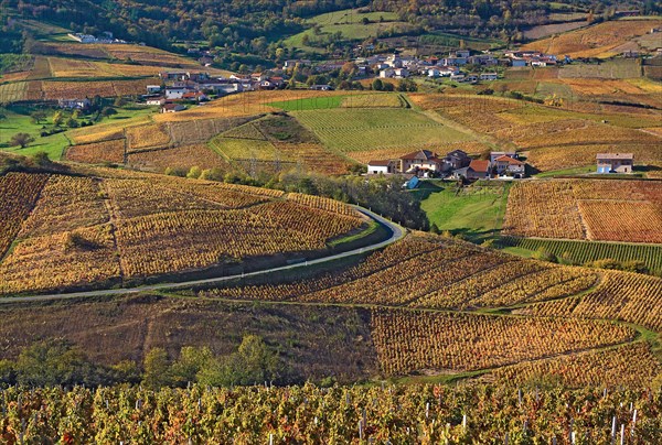 Vauxrenard, Rhône