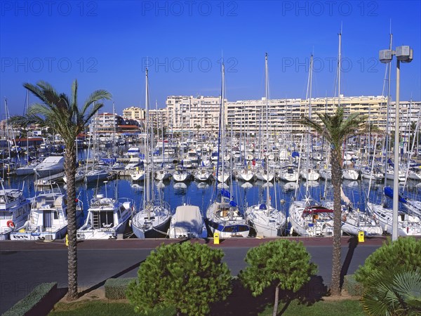 Saint-Cyprien, Pyrénées-Orientales