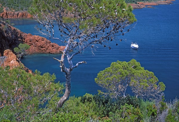 Fréjus, Var