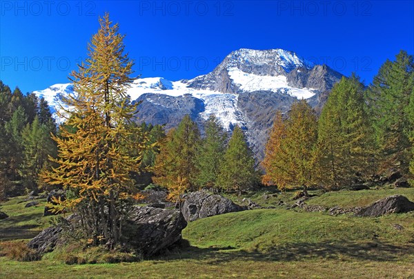 Vanoise National Park, Savoie