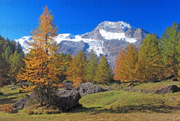 Vanoise National Park, Savoie