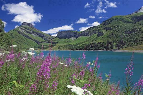 Beaufort-sur-Doron, Savoie