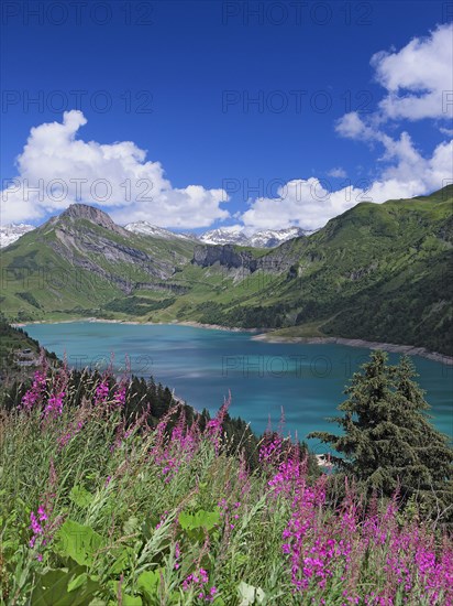 Beaufort-sur-Doron, Savoie