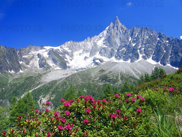 Chamonix, Haute-Savoie