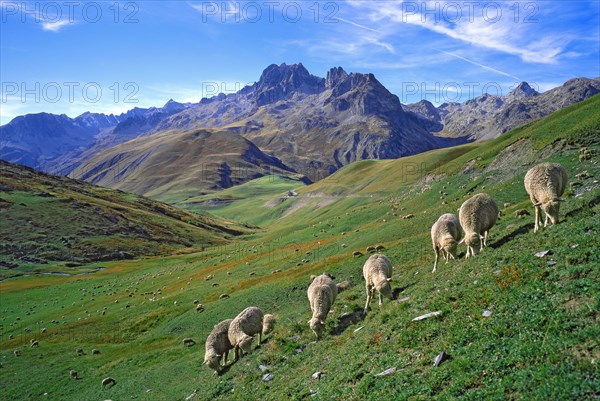 Saint-Colomban-des-Villards, Savoie