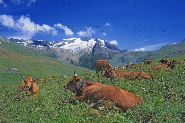 Séez Haute-Tarentaise, Savoie