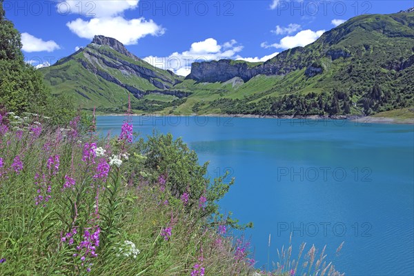 Beaufort-sur-Doron, Savoie