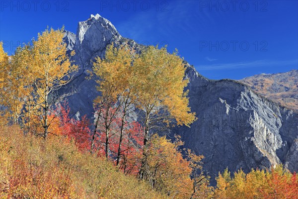 Saint-Michel-de-Maurienne, Savoie