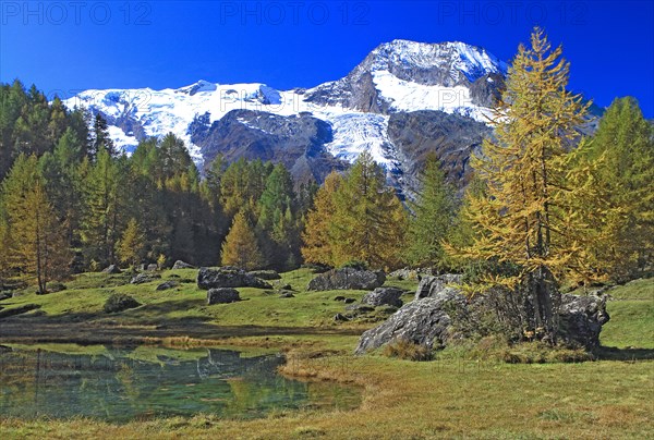 Sainte-Foy-Tarentaise, Savoie