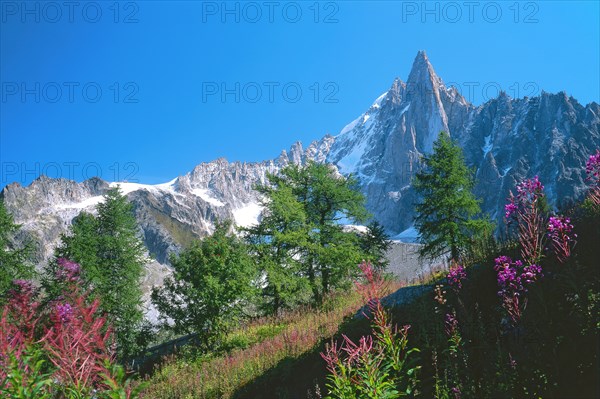 Chamonix, Haute-Savoie