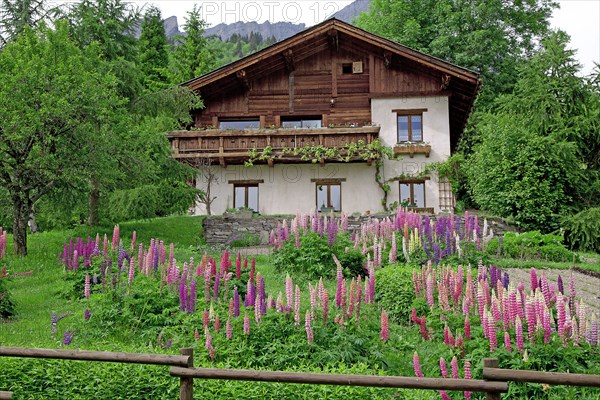 Chalet fleuri, Haute-Savoie