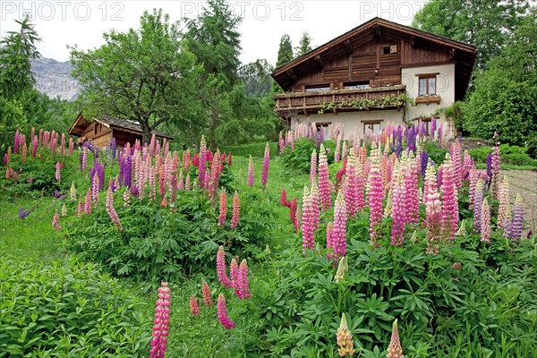 Chalet fleuri, Haute-Savoie