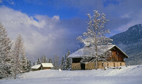 Paysage hivernal, Haute-Savoie