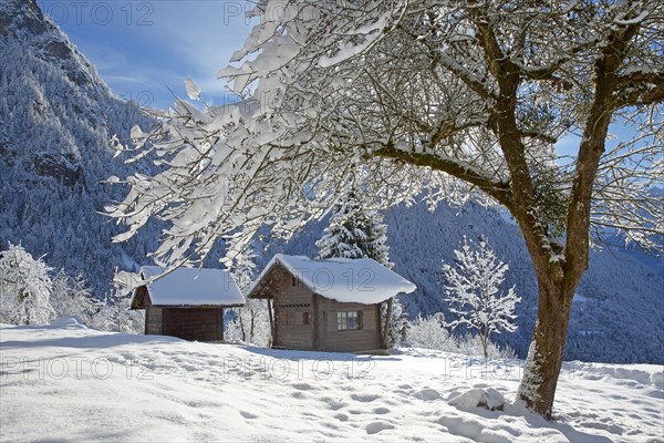 Winter landscape, Haute-Savoie