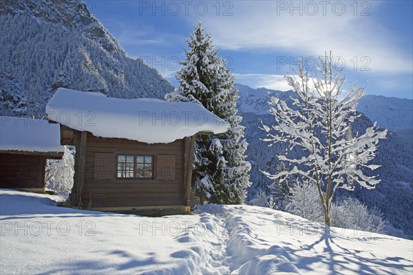 Winter landscape, Haute-Savoie