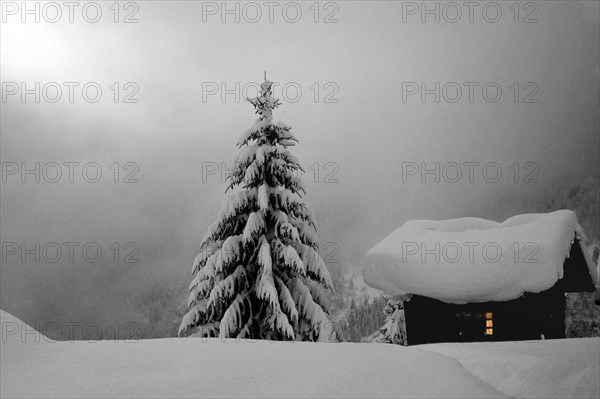 Paysage hivernal, Haute-Savoie