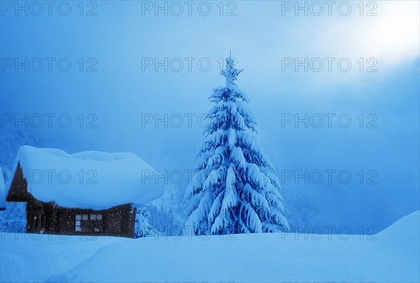 Paysage hivernal, Haute-Savoie