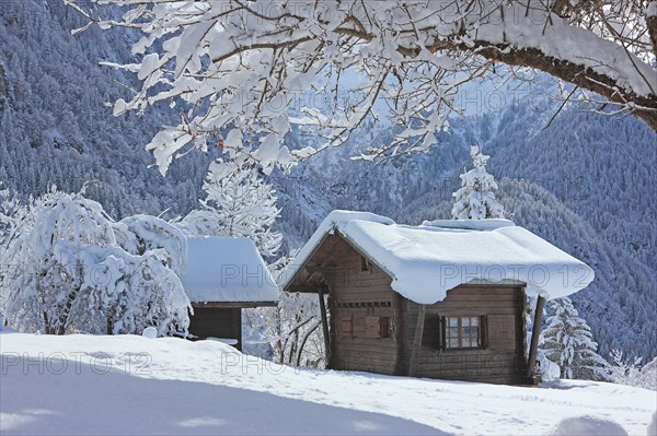 Paysage hivernal, Haute-Savoie