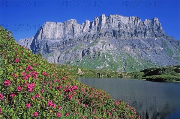 Lac de montagne, Haute-Savoie