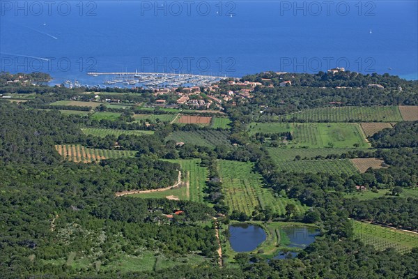 Ile de Porquerolles, Var