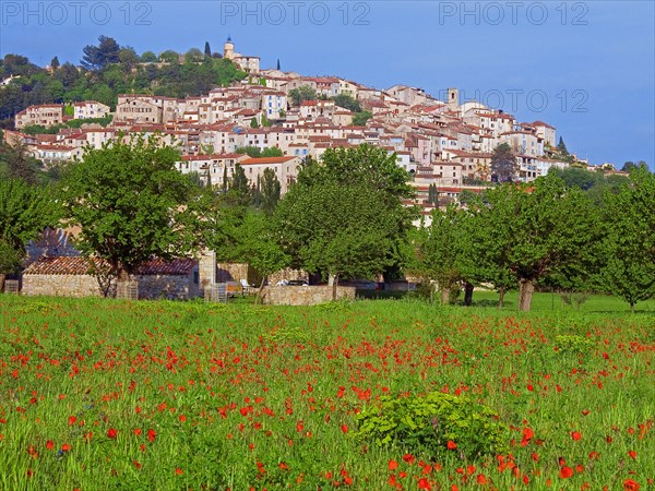 Fayence, Var