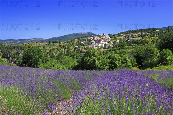 Aurel, Vaucluse