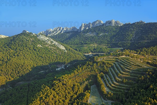 Gigondas, Vaucluse