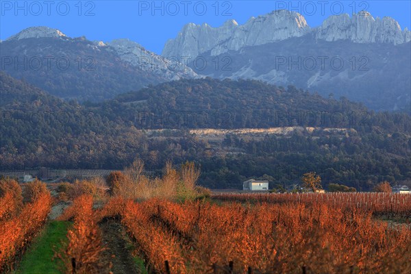 Les dentelles de Montmirail, Vaucluse