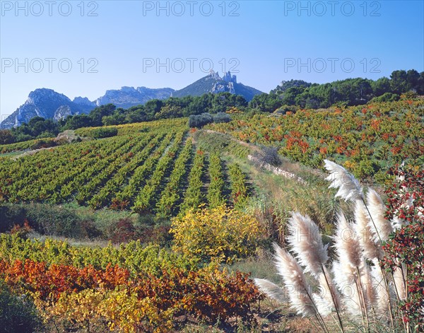 Gigondas, Vaucluse