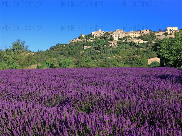 Gordes, Vaucluse