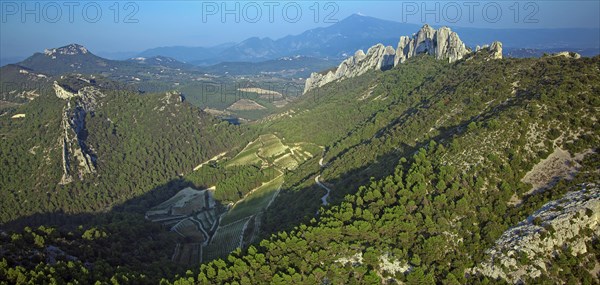 Gigondas, Vaucluse